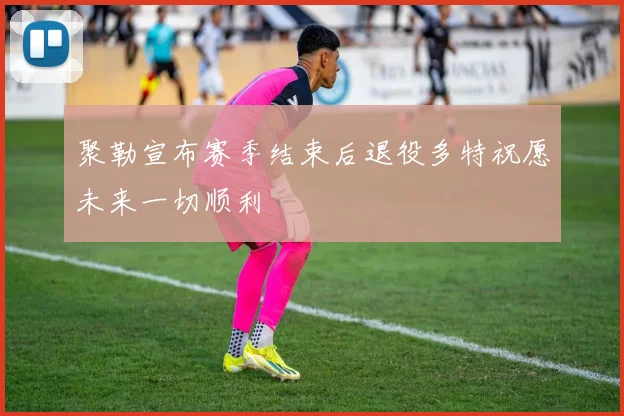 聚勒宣布赛季结束后退役多特祝愿未来一切顺利