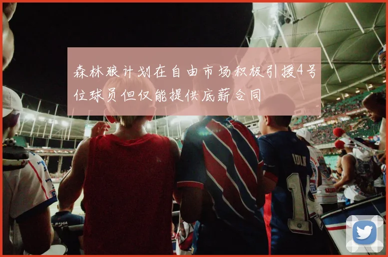 森林狼计划在自由市场积极引援4号位球员但仅能提供底薪合同