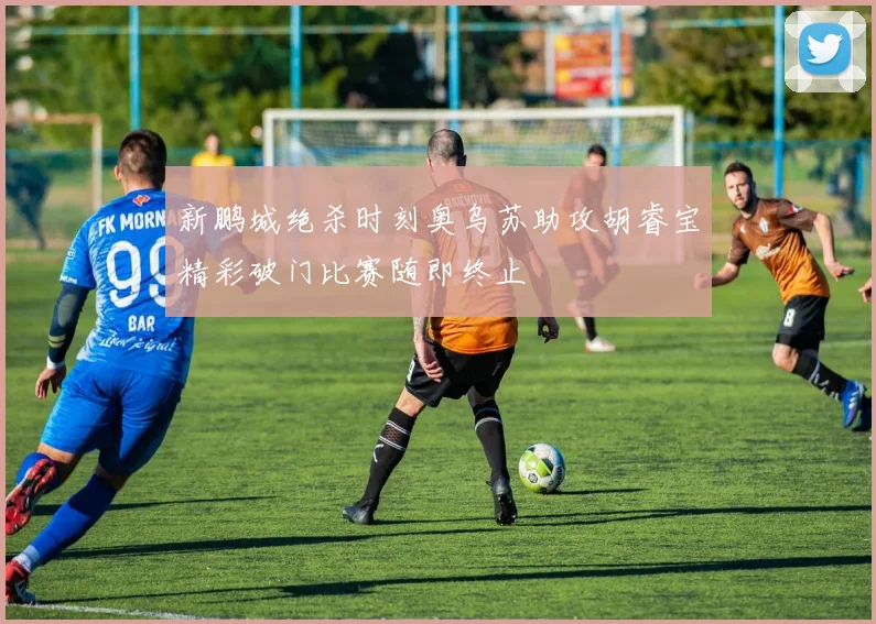 新鹏城绝杀时刻奥乌苏助攻胡睿宝精彩破门比赛随即终止