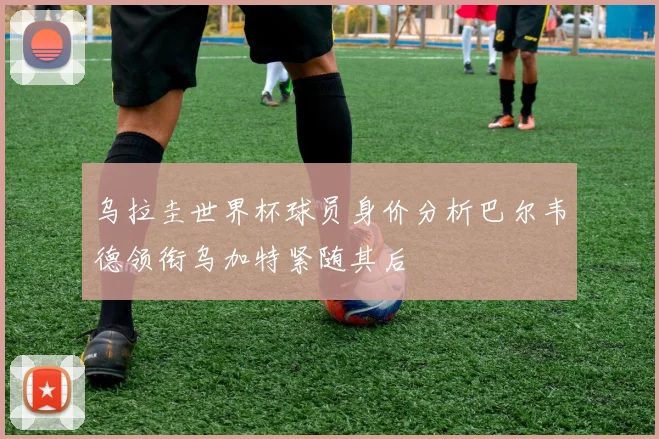 乌拉圭世界杯球员身价分析巴尔韦德领衔乌加特紧随其后